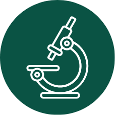 Icono de microscopio: rigor cientifico aplicado a terapias naturales. Refuerza el metodo de Carmem Carvalho y su expediente terapeutico personalizado.